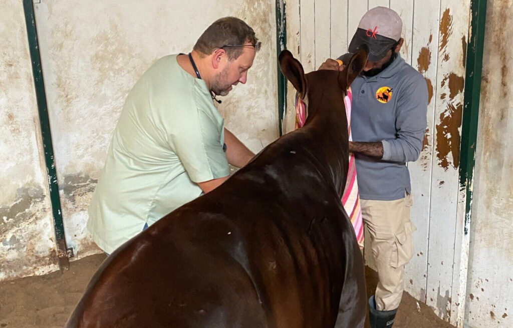 Flying for Survival – Air Cargo Week