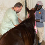 Flying for Survival – Air Cargo Week