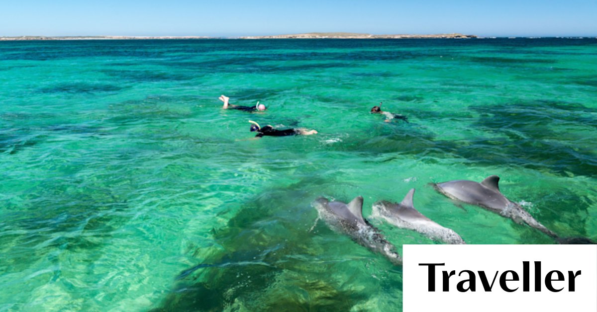 This secret destination of Safari is the next big news of Australia do Sul